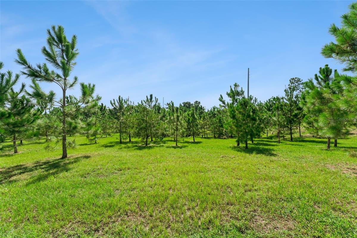 2766 BOBCAT CHASE BOULEVARD — photo 42 of 57