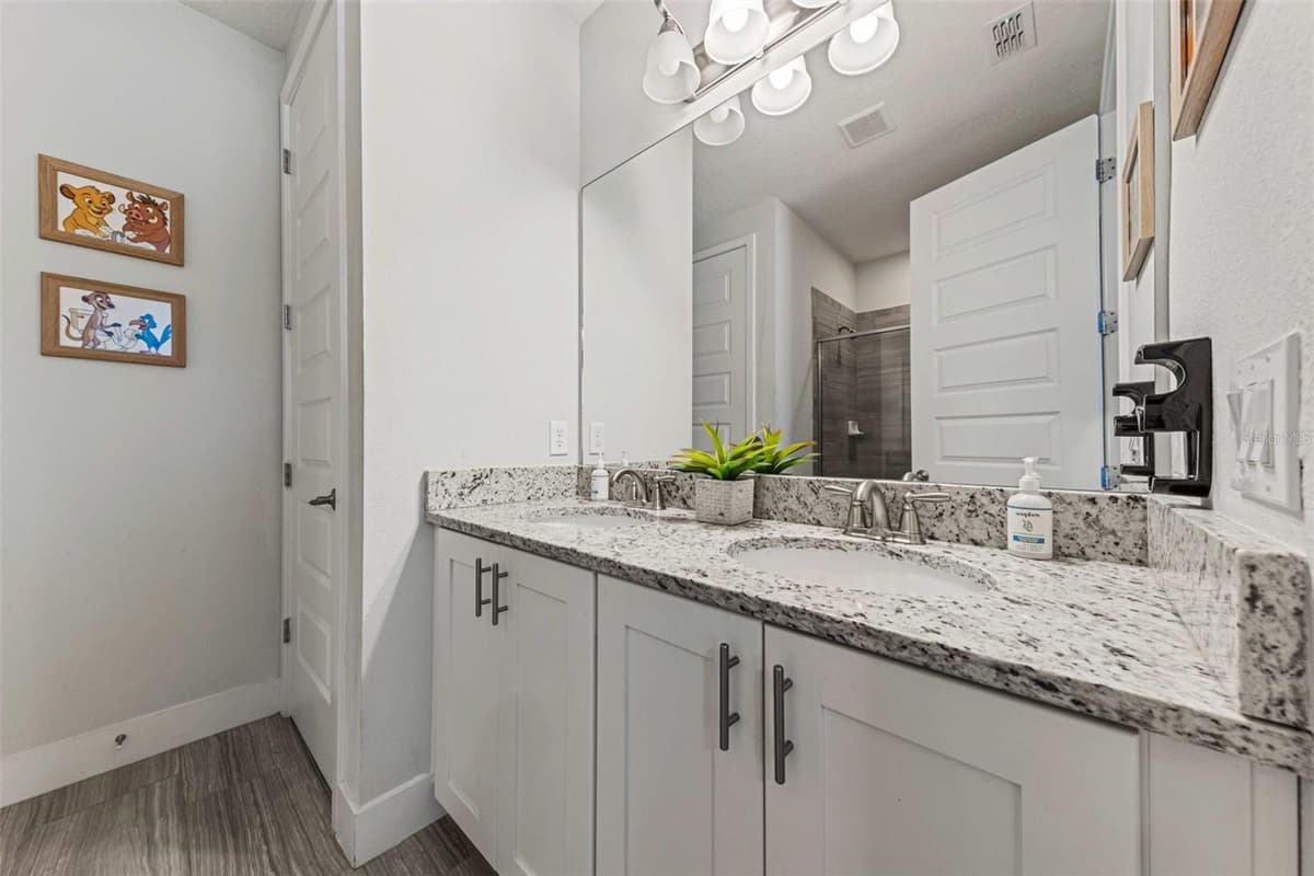 451 LASSO DRIVE — photo 5 of 48