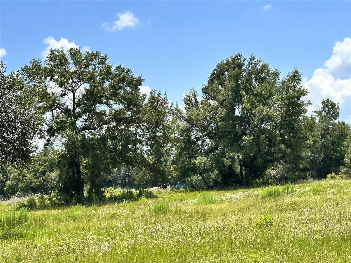 265 SKYLINE LOOP — photo 19 of 78