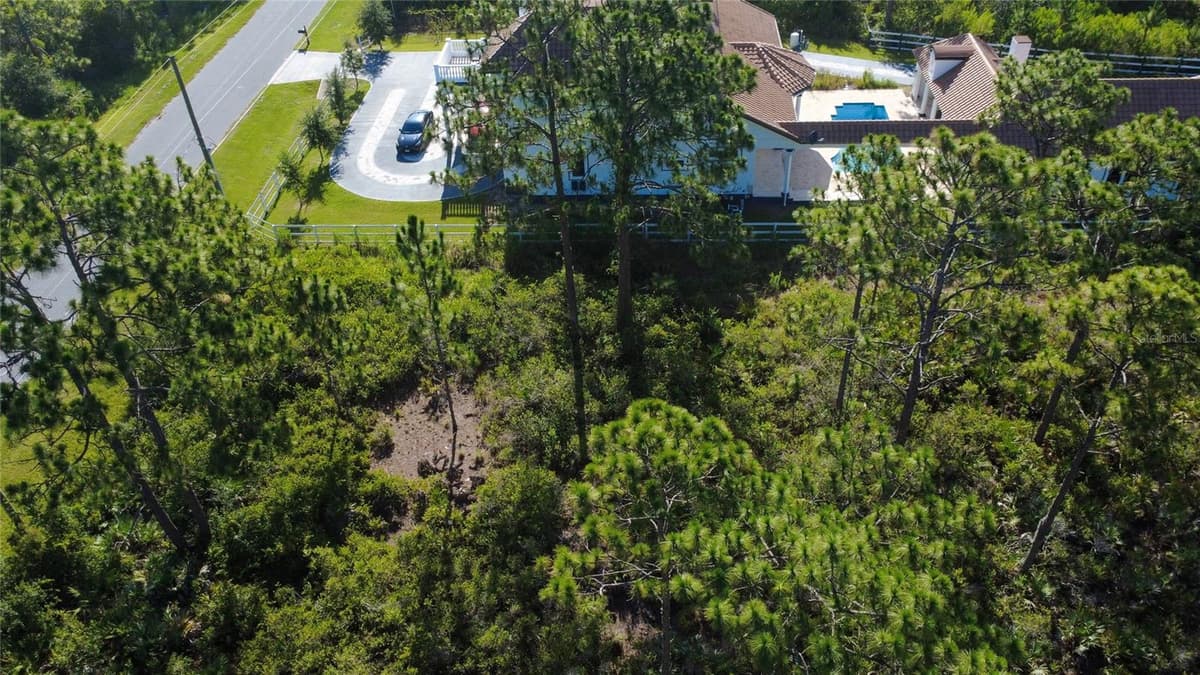 Lot 700 & 703 SABAL STREET — photo 4 of 4