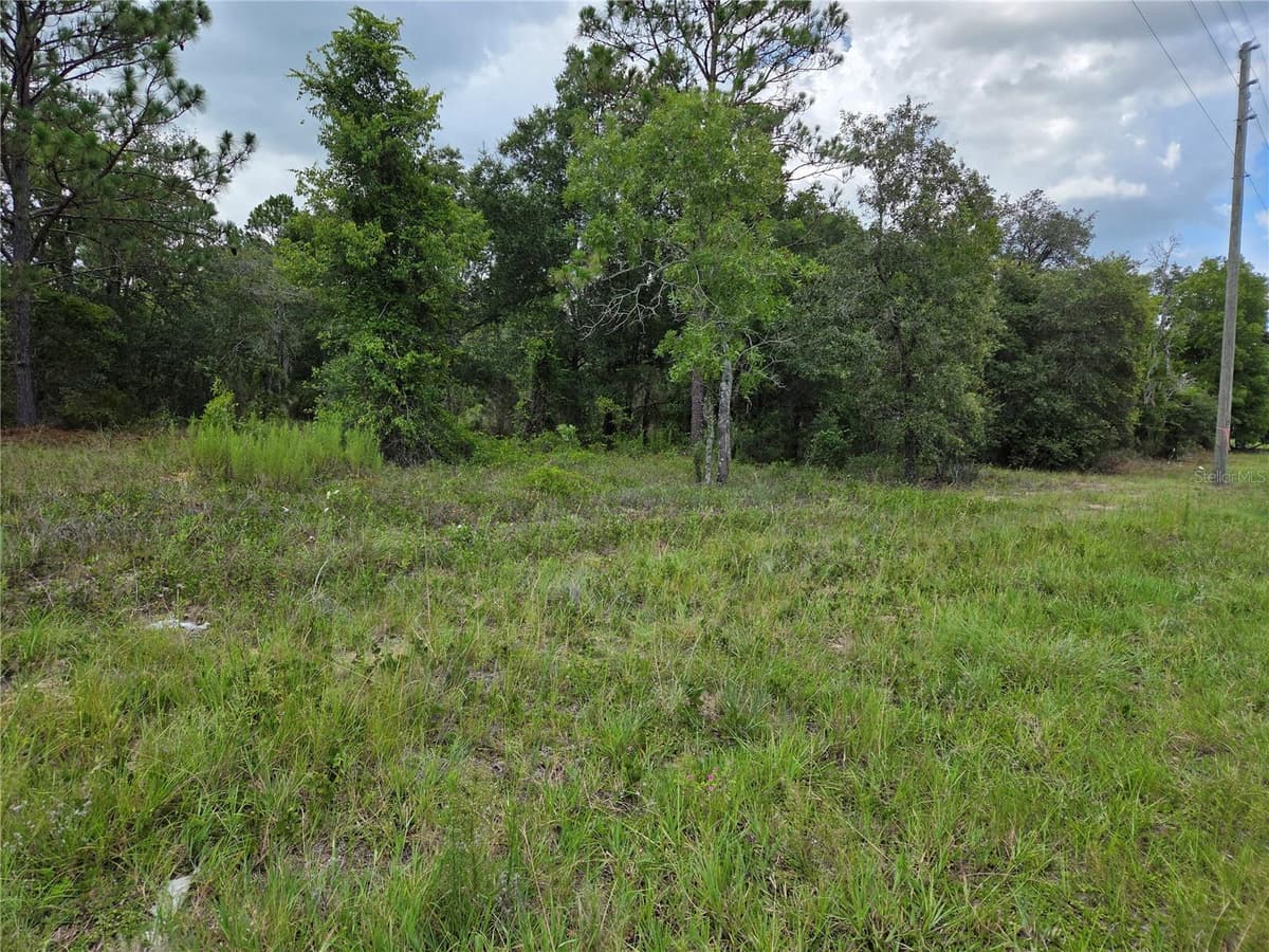 0000 STATE ROAD 121 — photo 1 of 4