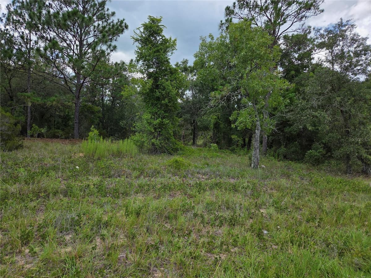 0000 STATE ROAD 121 — photo 2 of 4
