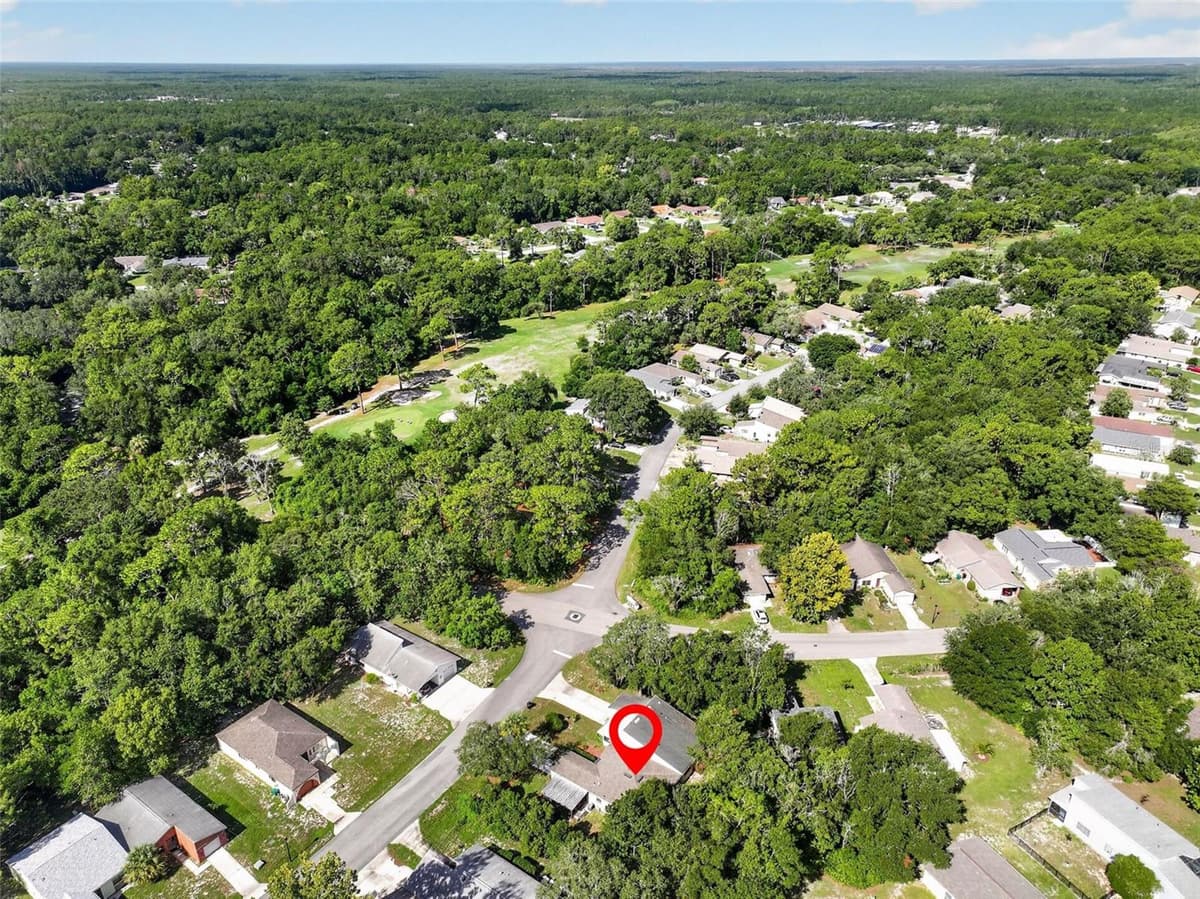 12 CHINABERRY CIRCLE — photo 46 of 52