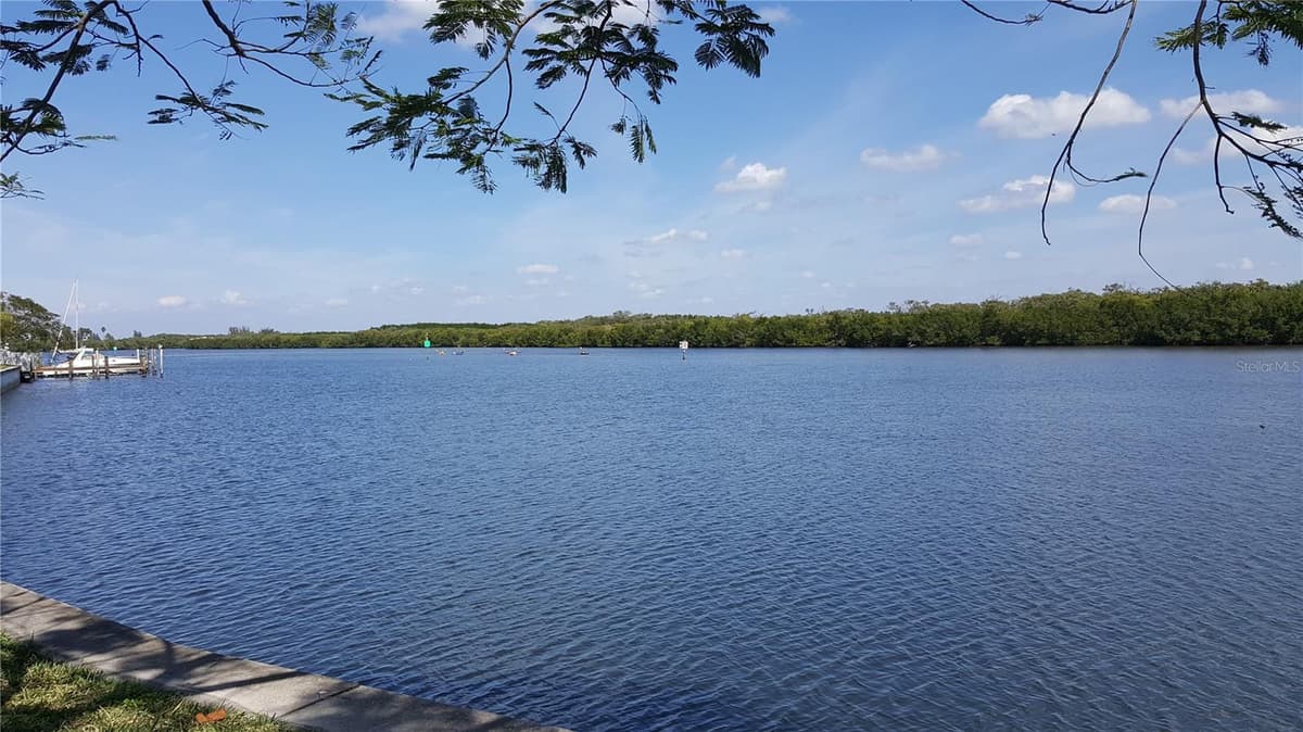 3259 MANGROVE POINT DRIVE — photo 45 of 47
