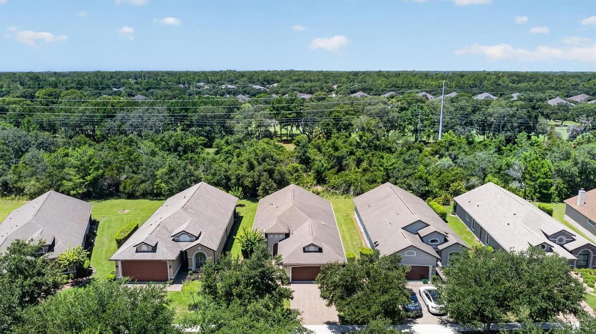3164 CONNEMARA DRIVE — photo 51 of 53