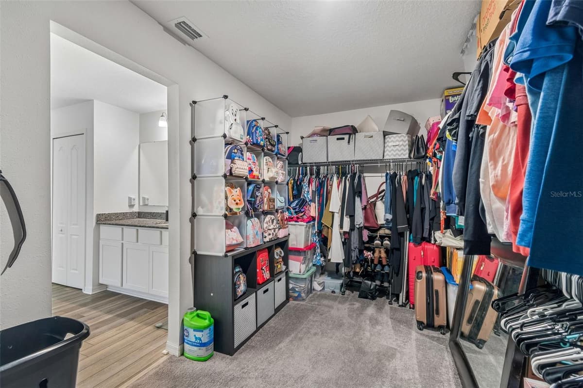 10501 RED COACH STREET — photo 85 of 100