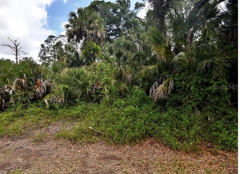 CRANDON  RD ROAD — photo 2 of 2