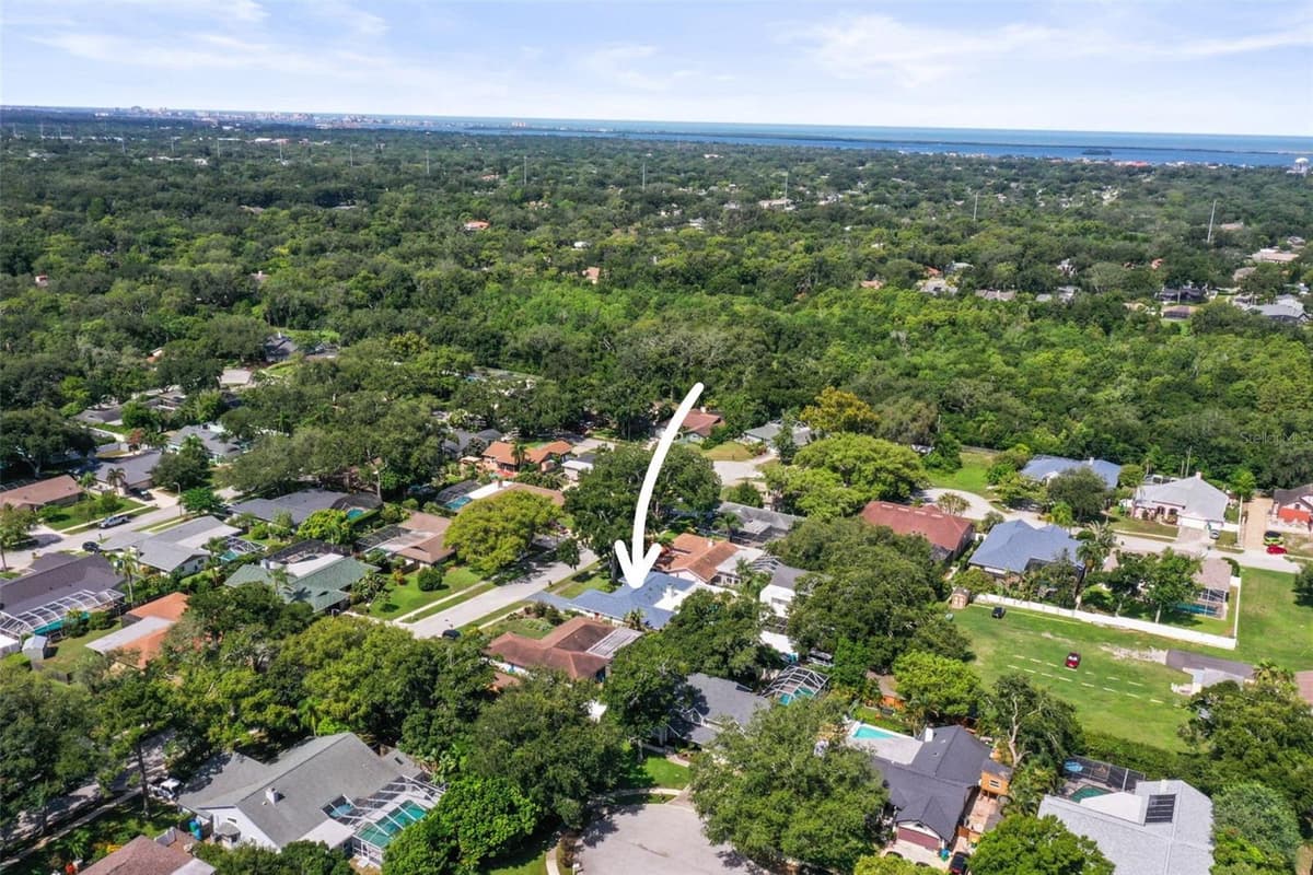 1981 CASTILLE DRIVE — photo 54 of 56