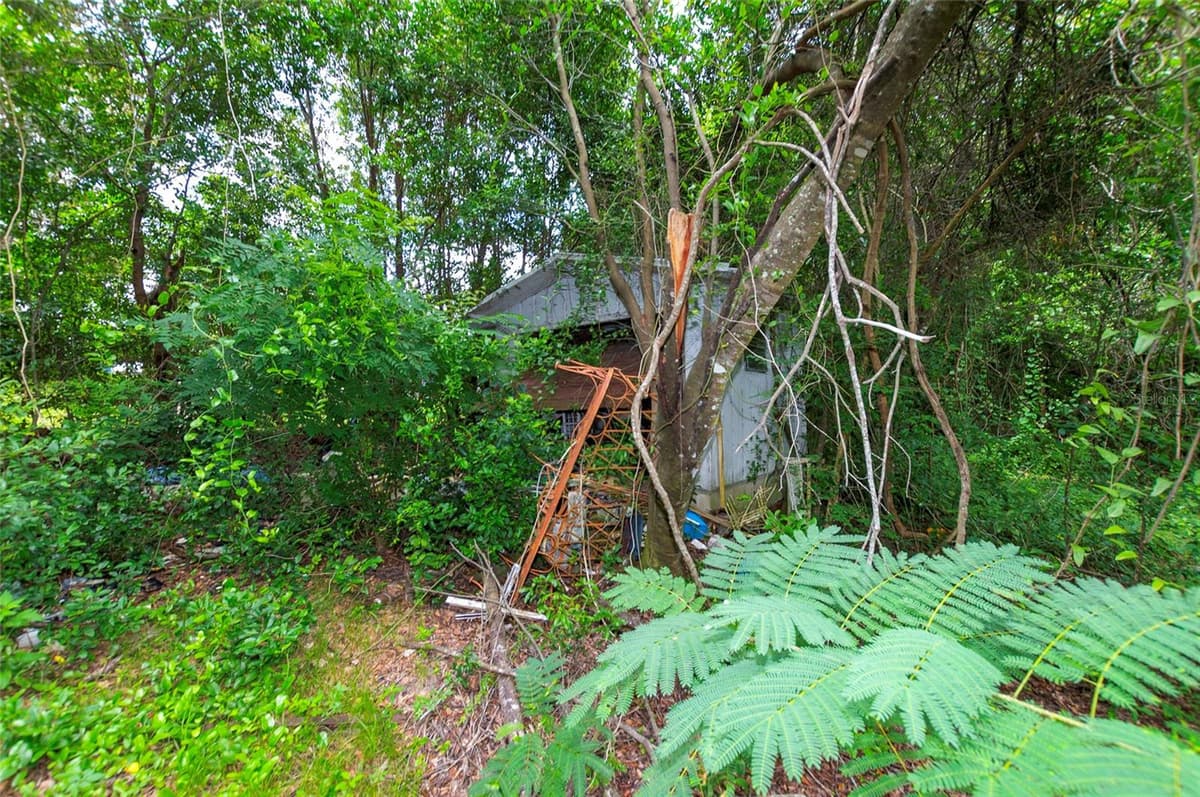 3596 IVY STREET — photo 43 of 55