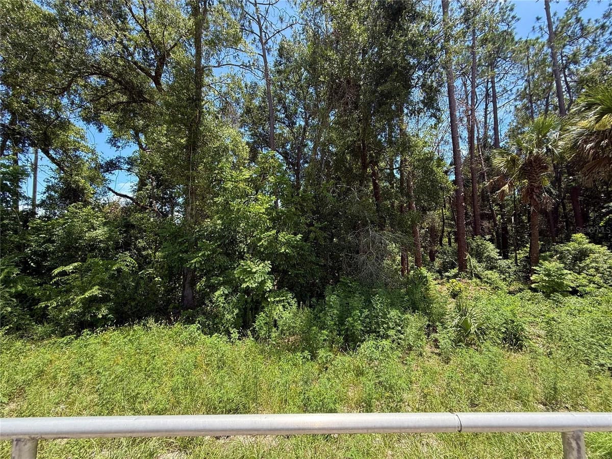 LOT 14 STATE ROAD 44 — photo 15 of 18
