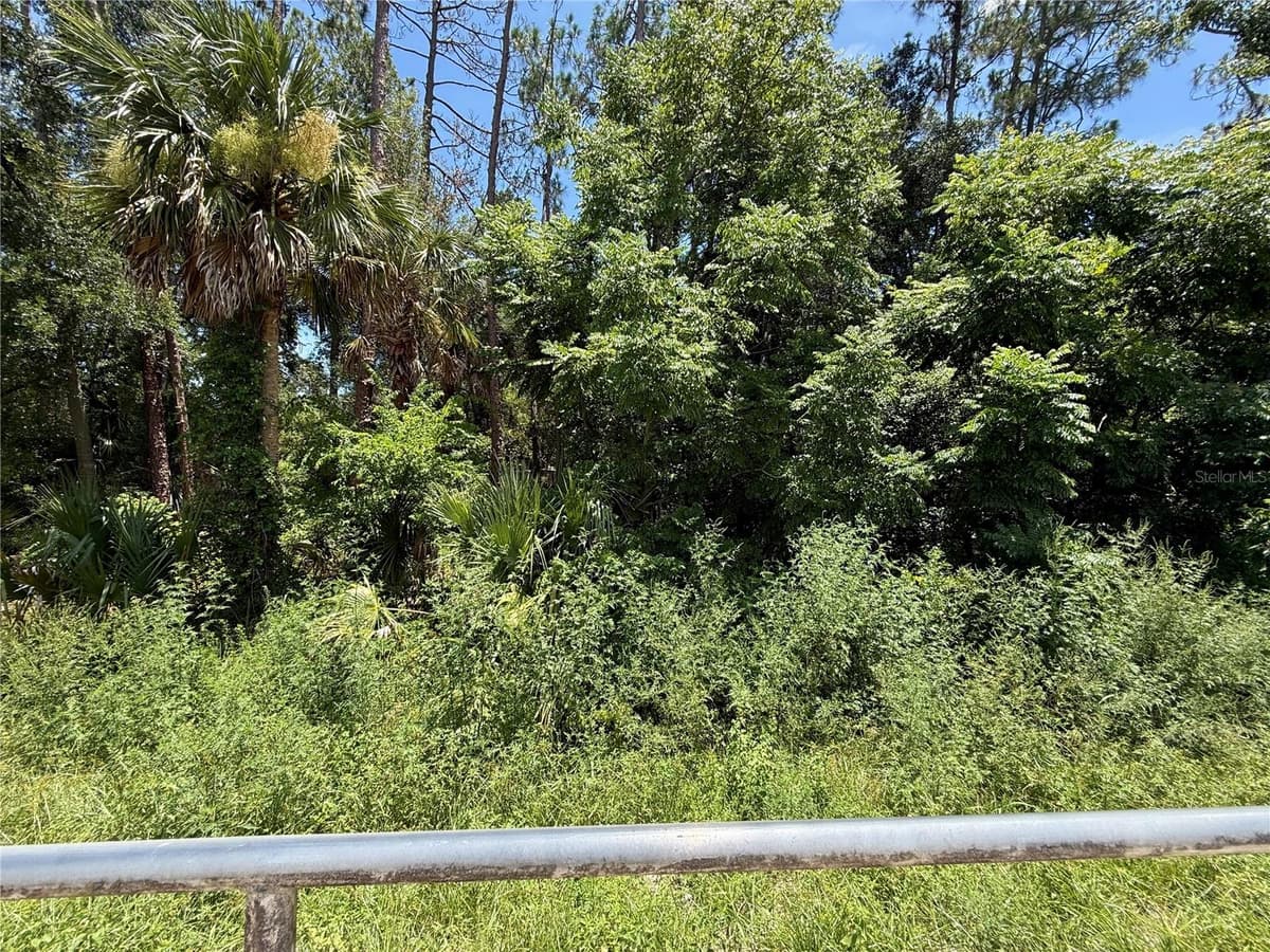 LOT 14 STATE ROAD 44 — photo 17 of 18