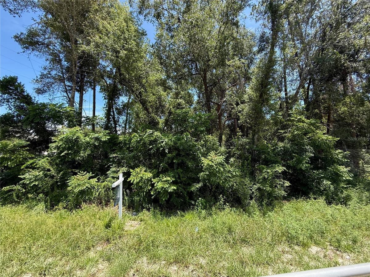 LOT 13 STATE ROAD 44 — photo 6 of 12