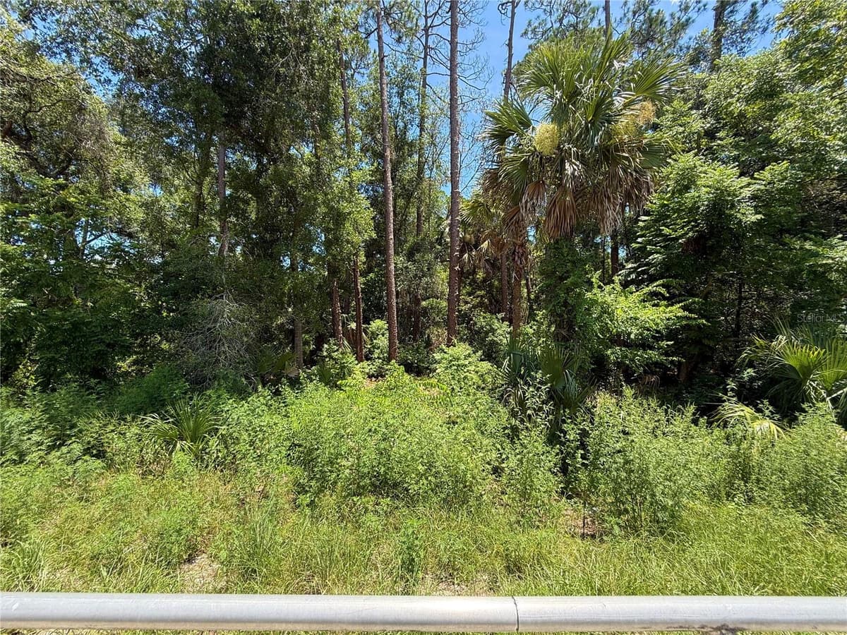 LOT 13 STATE ROAD 44 — photo 8 of 12