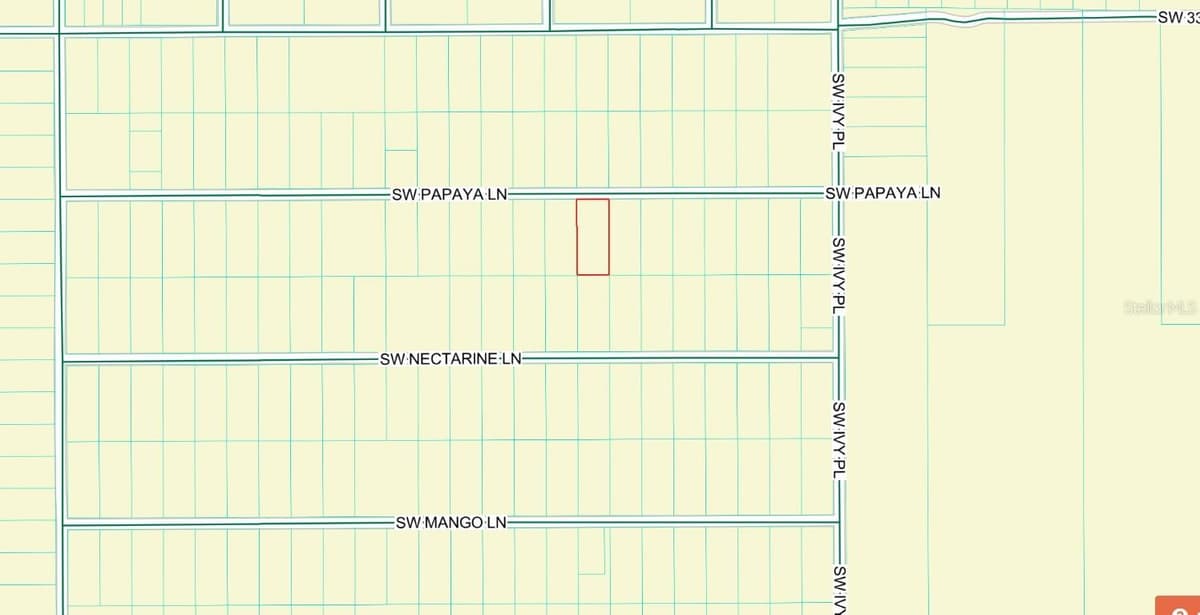 PAPAYA LANE — photo 2 of 4