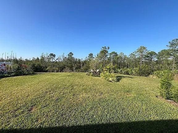 2711 NEVERLAND DRIVE — photo 14 of 18