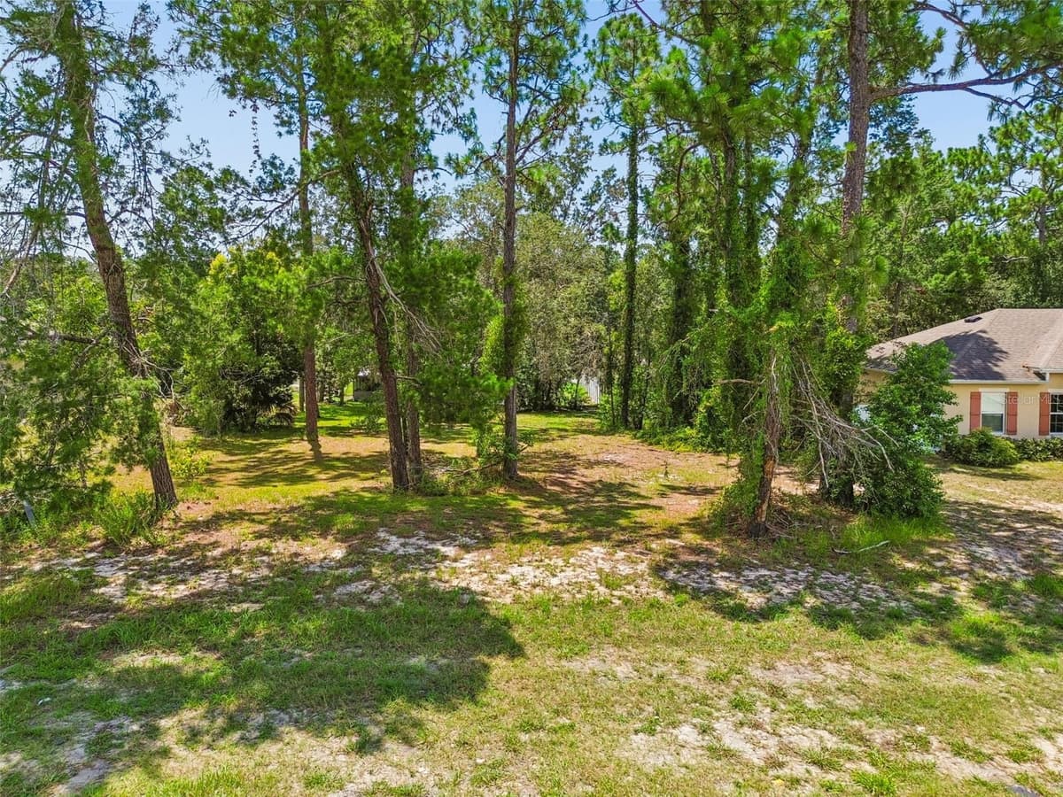 4235 CASTLE AVENUE — photo 91 of 98
