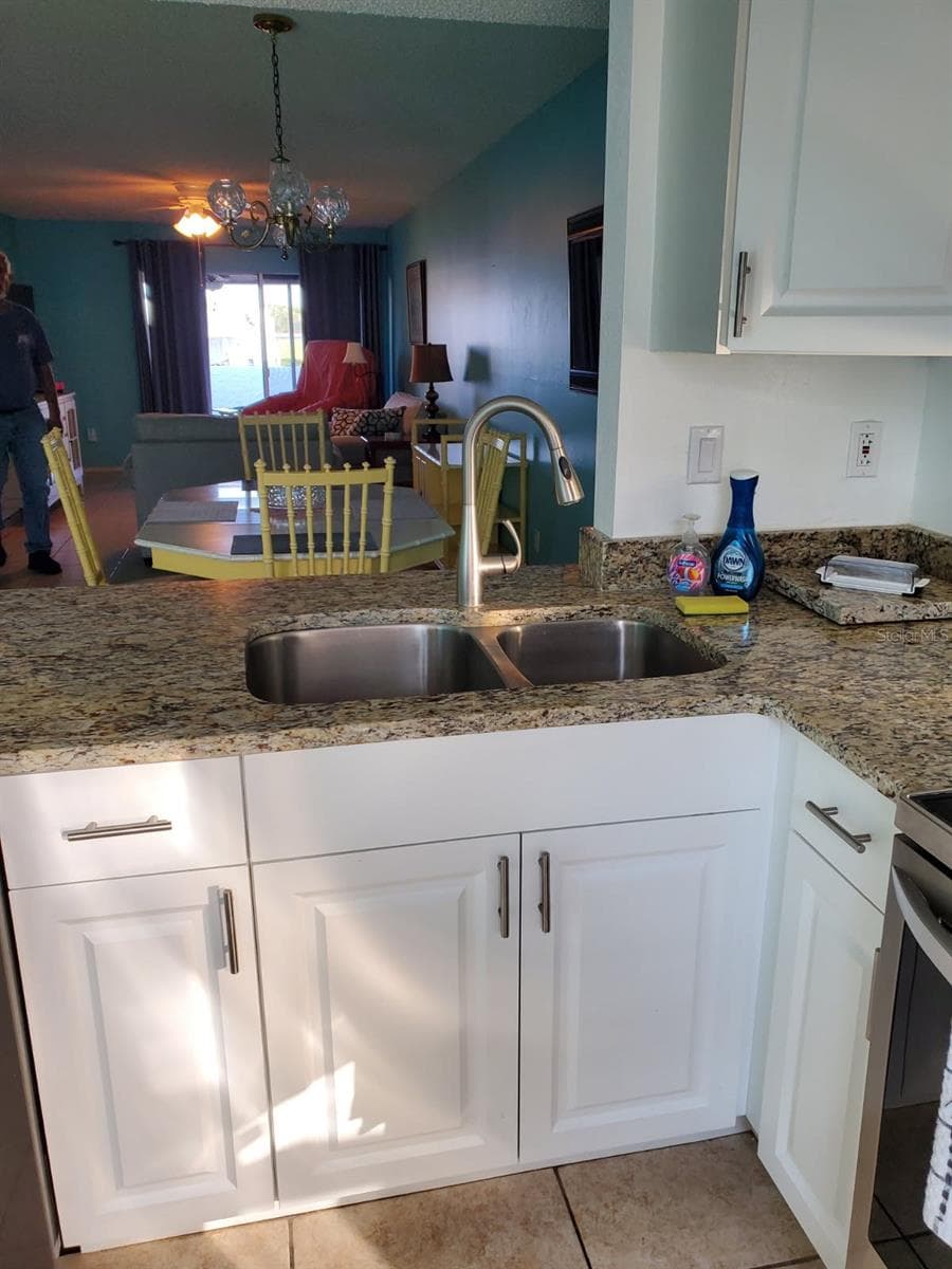 11135 CARRIAGE HILL DRIVE — photo 10 of 28