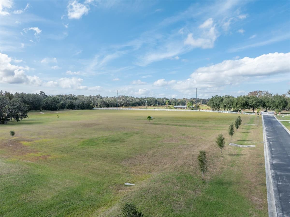 103 ALAFIA ESTATES LANE — photo 12 of 22
