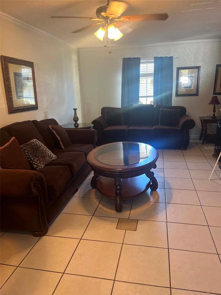 247 DEBORA COURT — photo 9 of 14