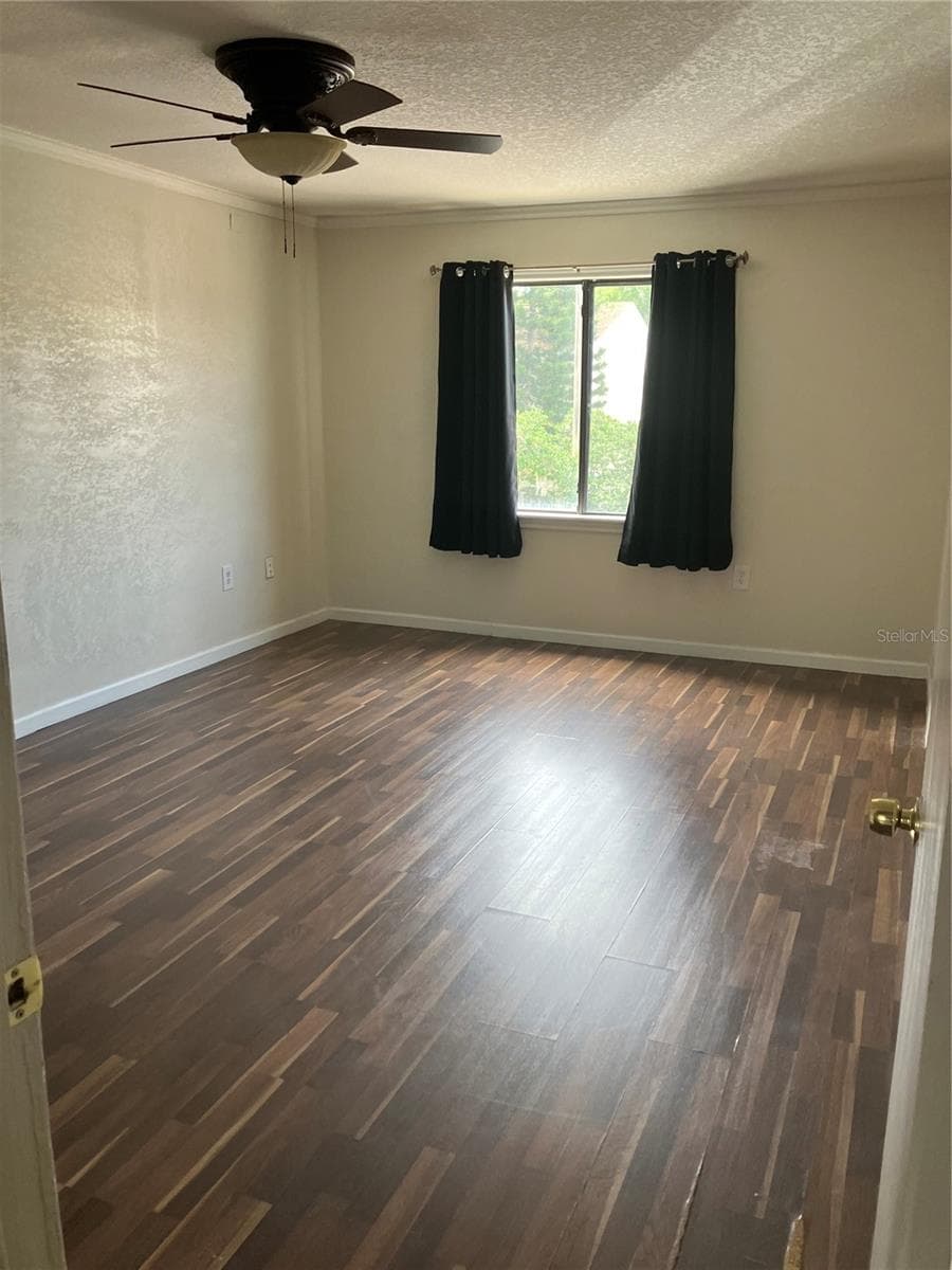247 DEBORA COURT — photo 10 of 14