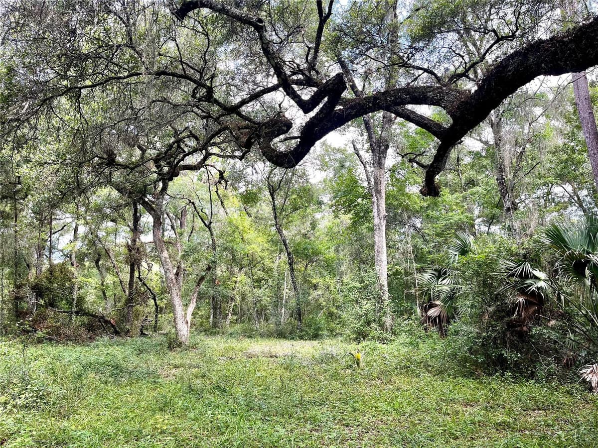 TBD 127TH COURT — photo 14 of 17