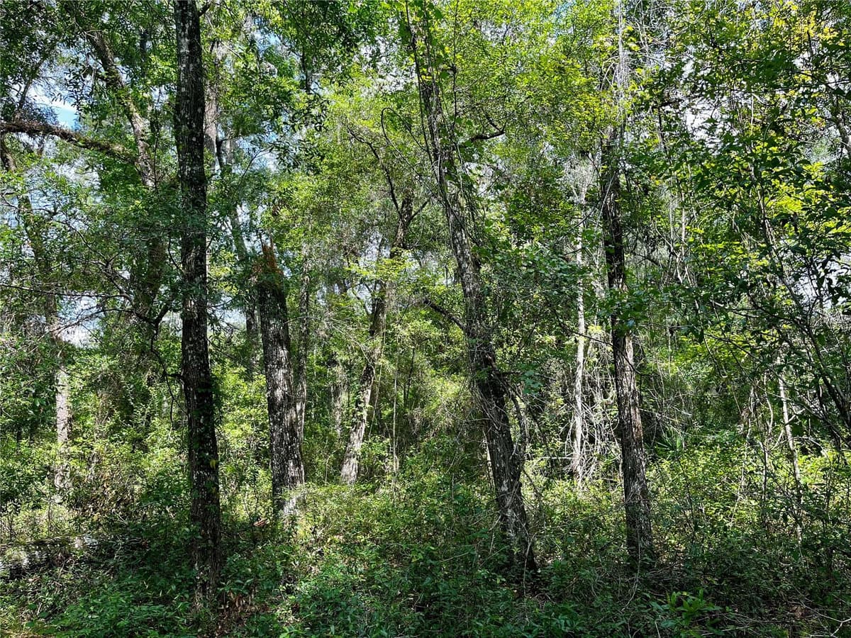 TBD 127TH COURT — photo 16 of 17