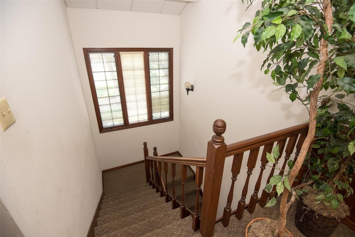 205 MAGNOLIA STREET — photo 33 of 58
