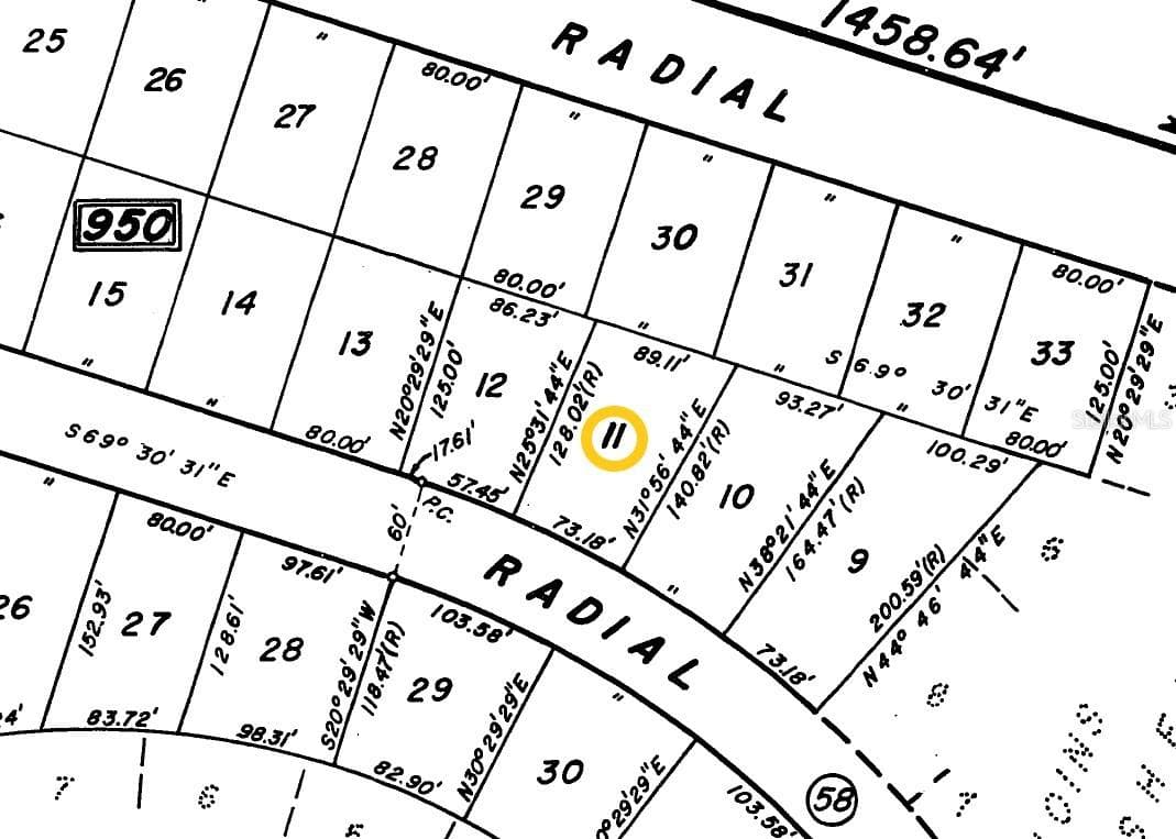 MALAUKA RADIAL — photo 2 of 5