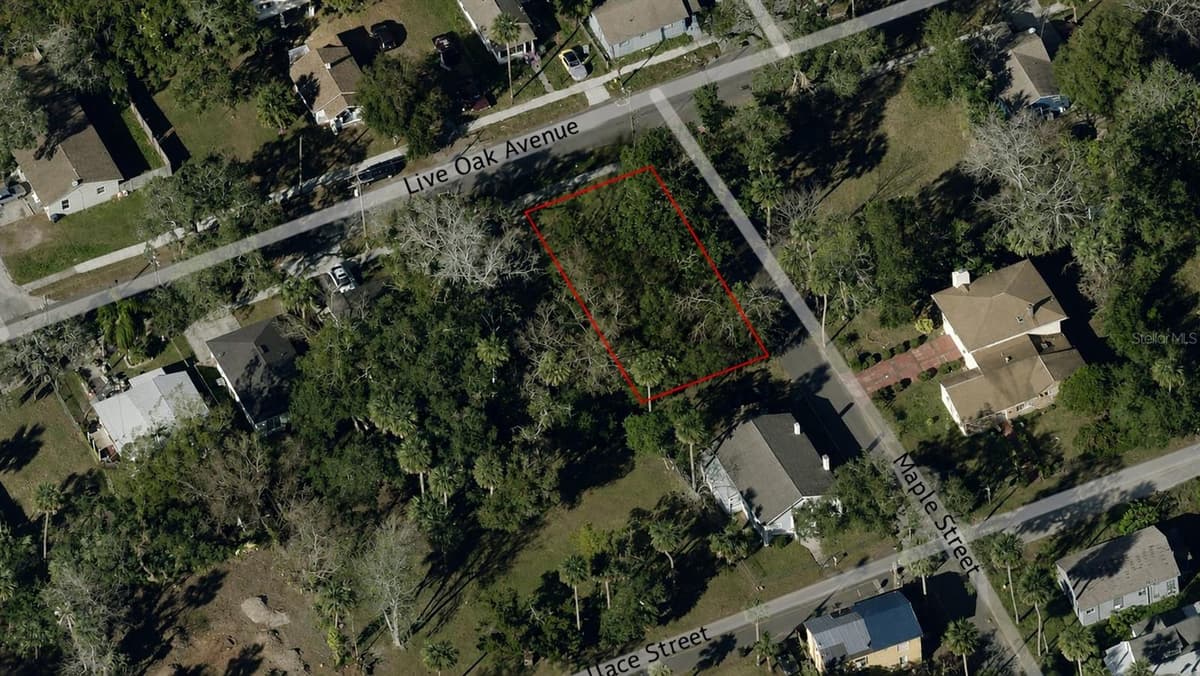 547 LIVE OAK AVENUE — photo 5 of 5
