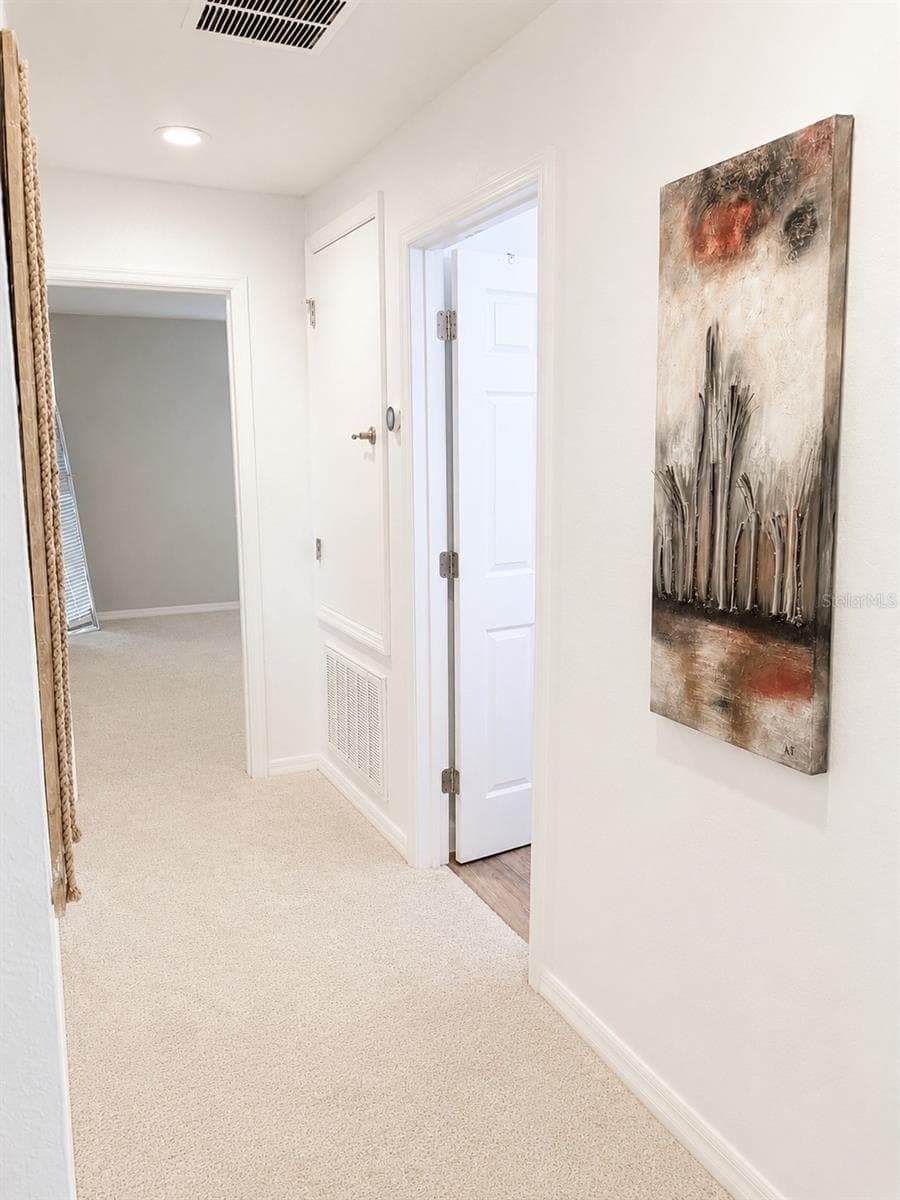 5267 WHITE EGRET LANE — photo 25 of 43