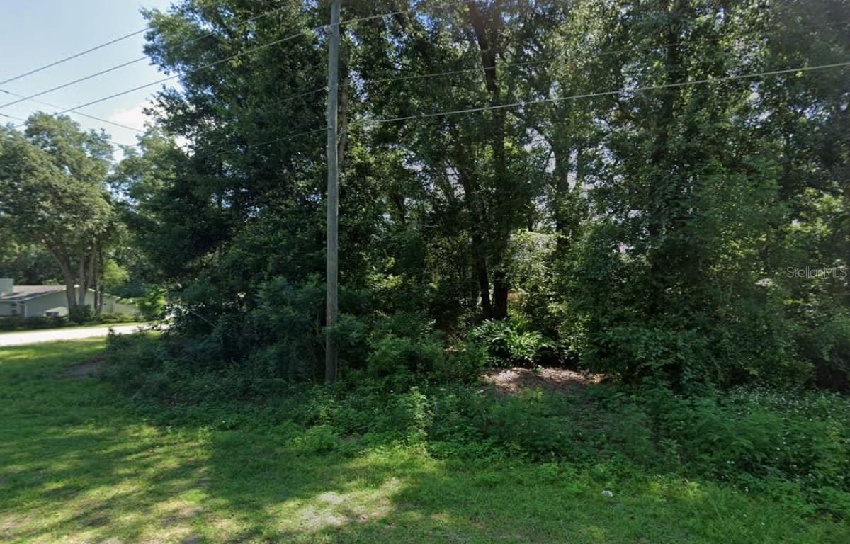 TEAK ROAD — photo 2 of 4