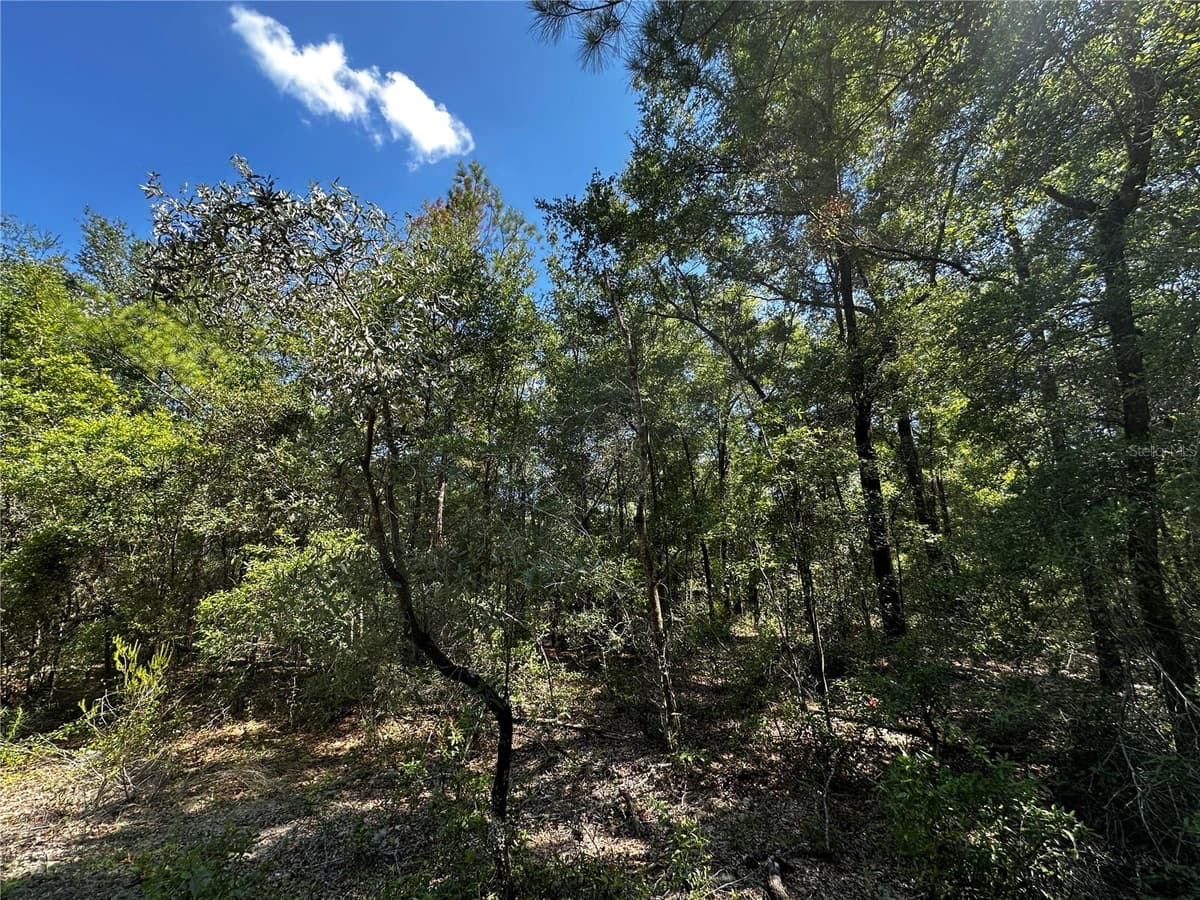 TBD 81ST STREET — photo 16 of 23
