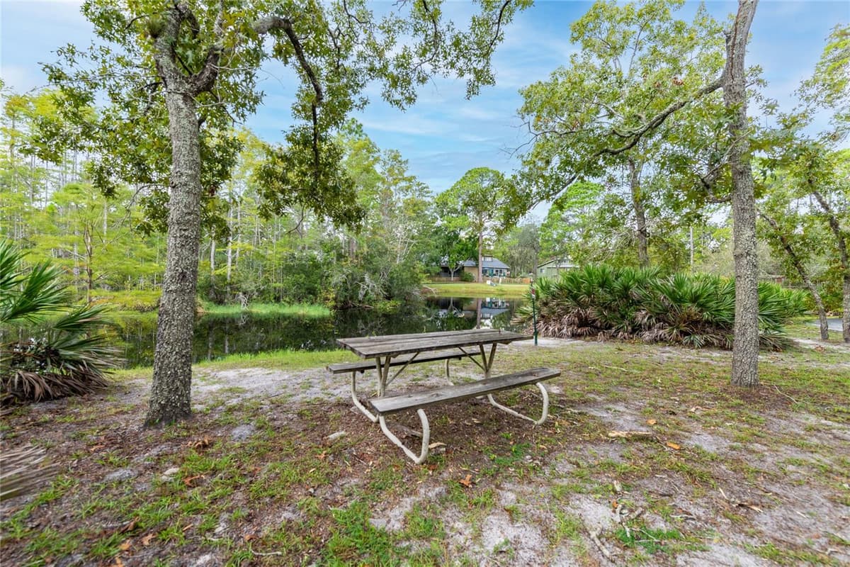113 DUSK MEADOW TRAIL — photo 32 of 36