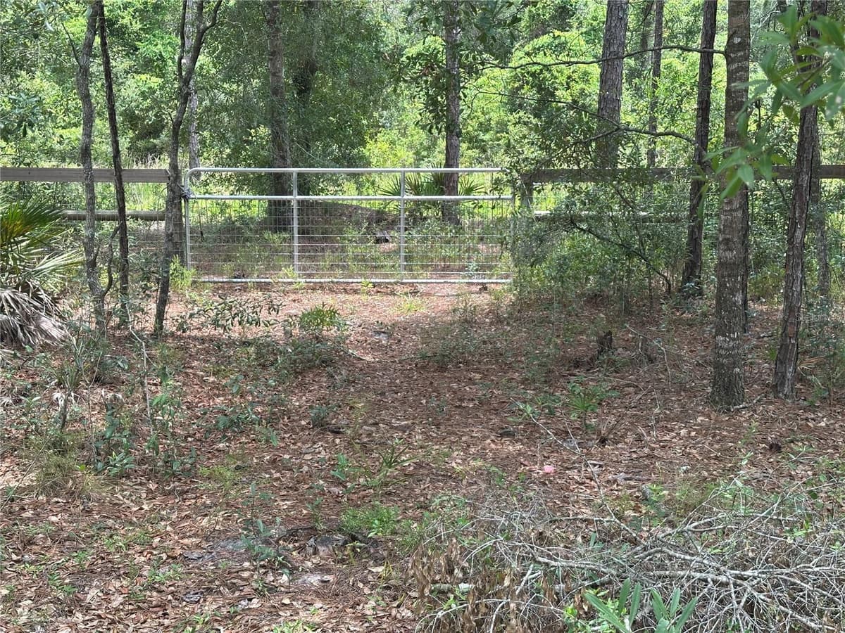 5730 COUNTY ROAD 337 — photo 12 of 20