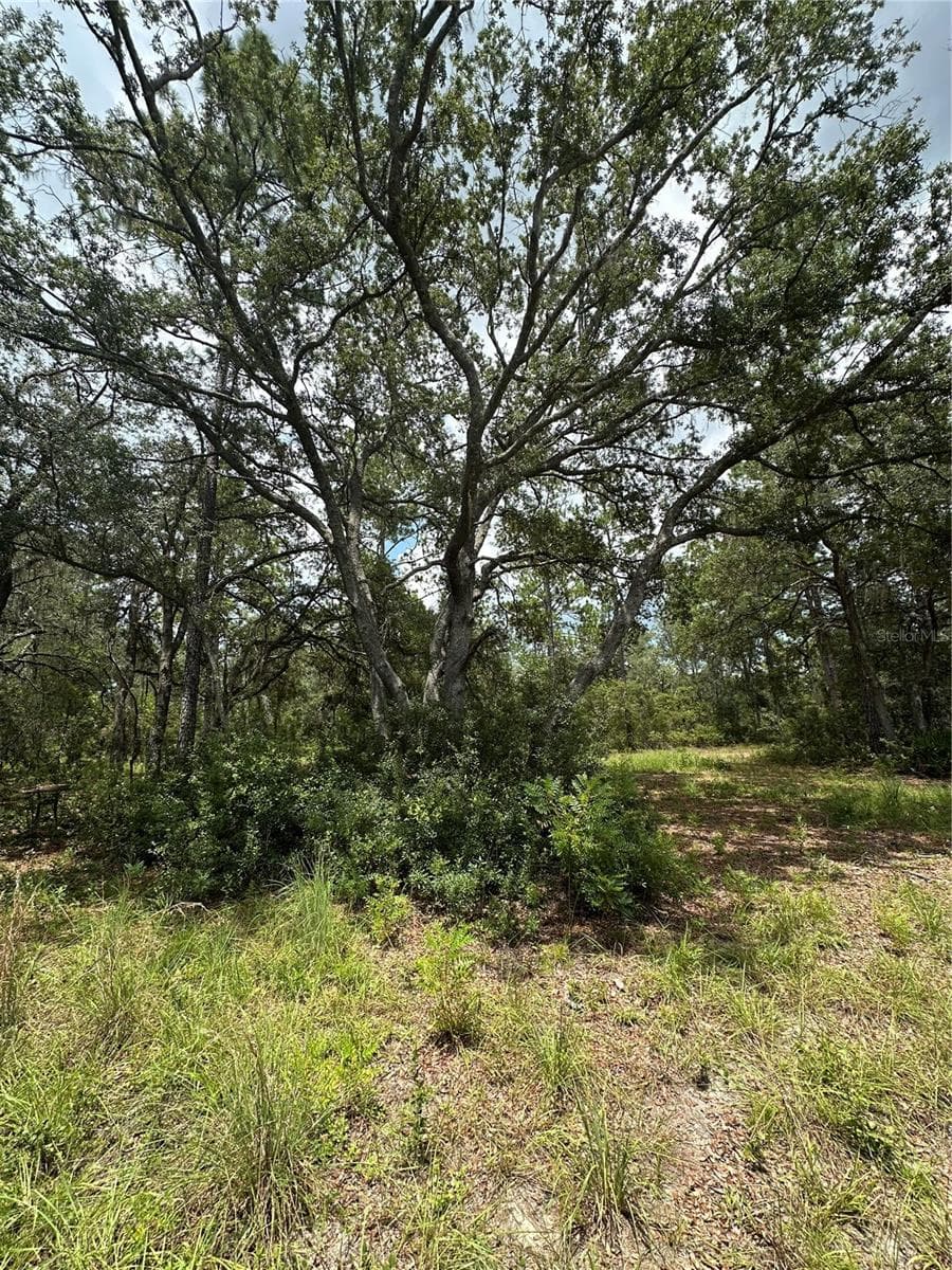 5730 COUNTY ROAD 337 — photo 15 of 20