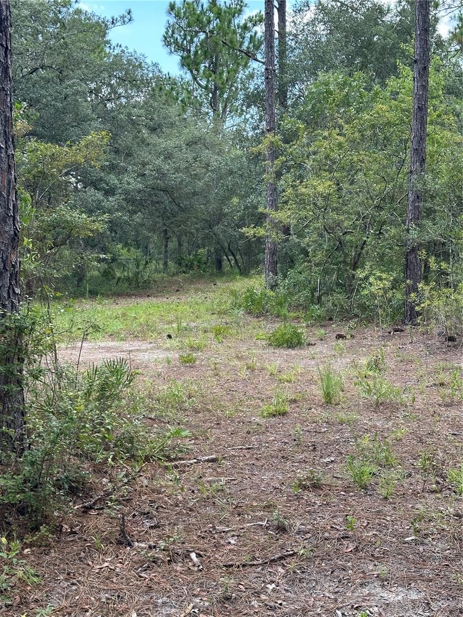 5730 COUNTY ROAD 337 — photo 19 of 20