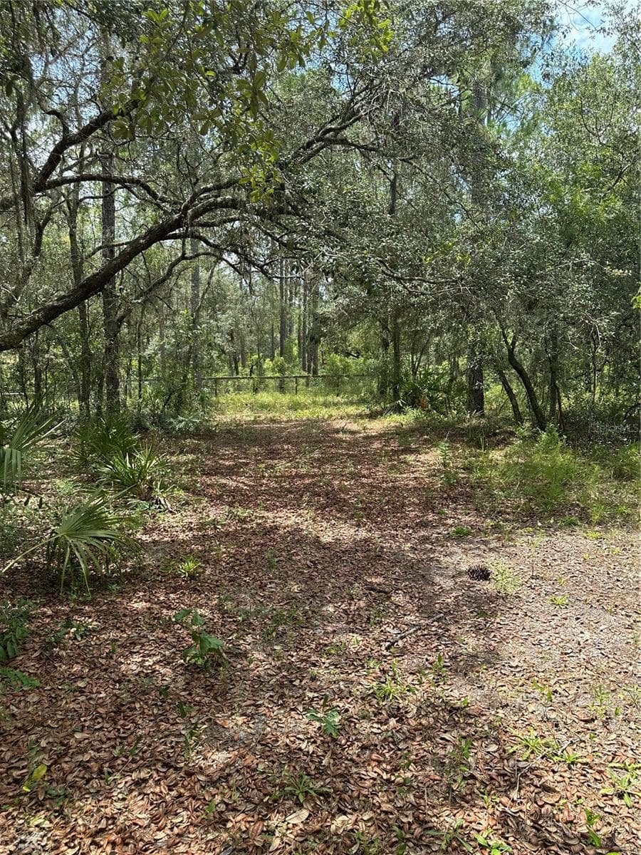 5730 COUNTY ROAD 337 — photo 17 of 20