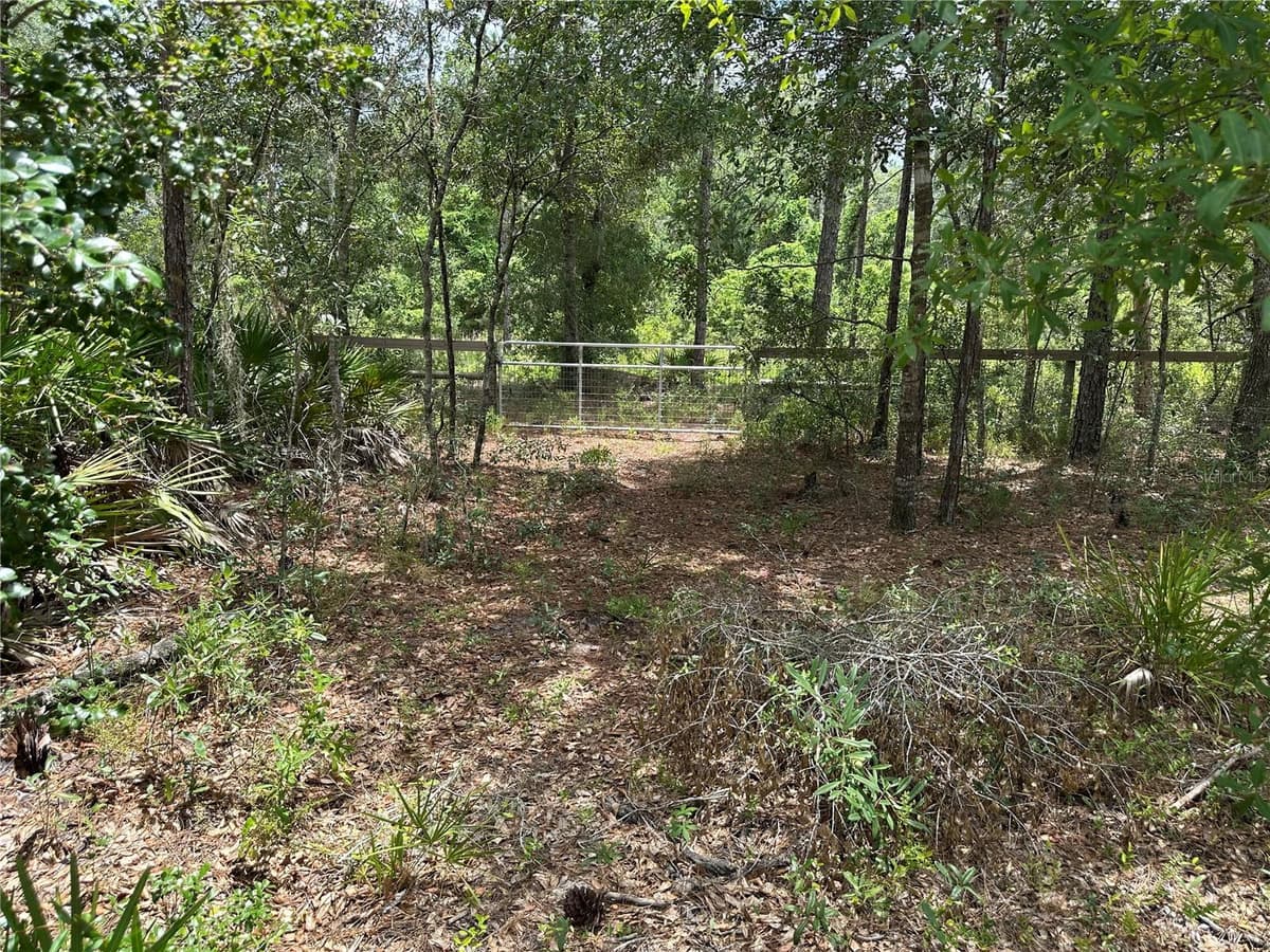5730 COUNTY ROAD 337 — photo 11 of 20