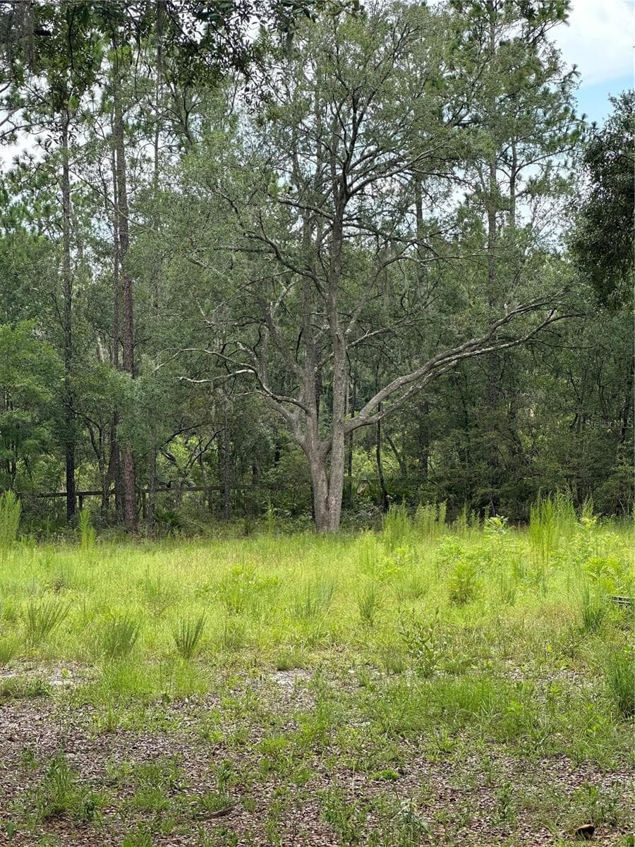 5730 COUNTY ROAD 337 — photo 18 of 20