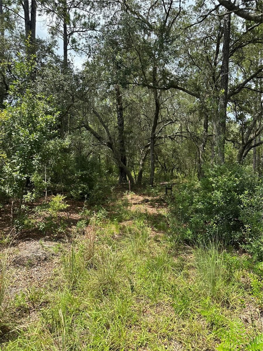 5730 COUNTY ROAD 337 — photo 16 of 20