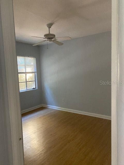 501 AMELIA STREET — photo 4 of 18