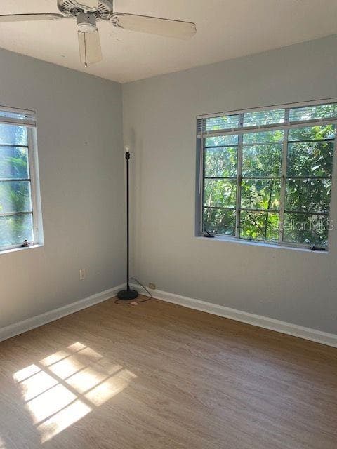 501 AMELIA STREET — photo 6 of 18