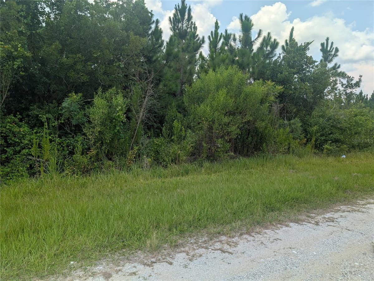 103 TROPICANA DRIVE — photo 1 of 46