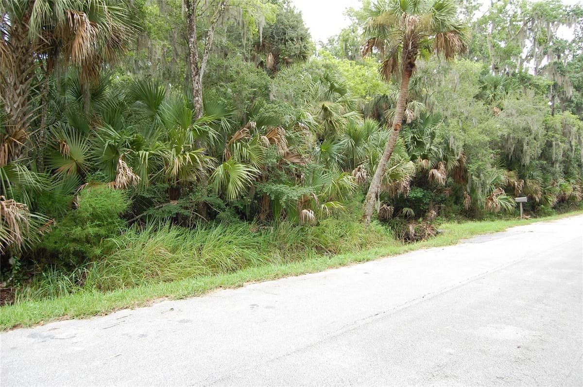 PALM DRIVE — photo 1 of 4