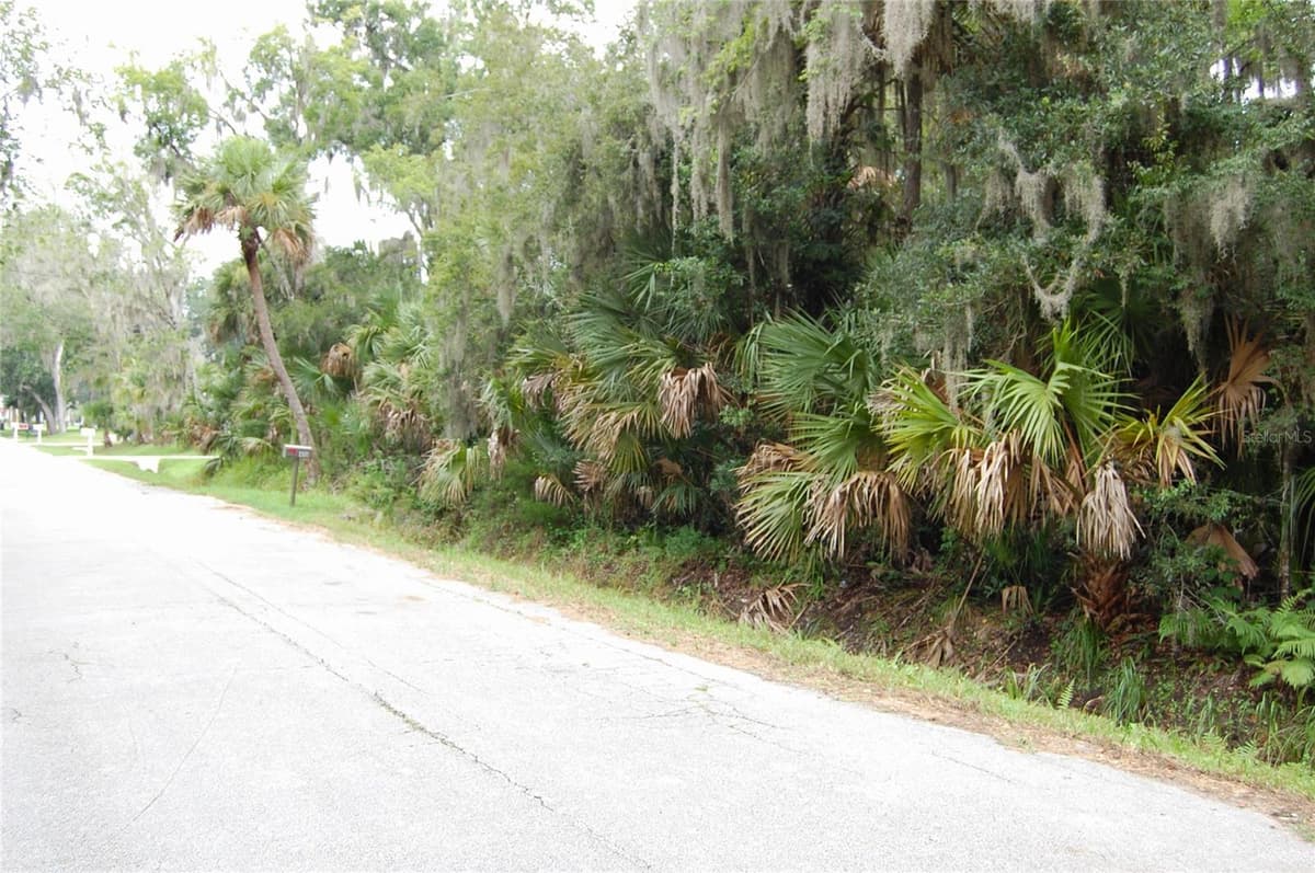 PALM DRIVE — photo 2 of 4