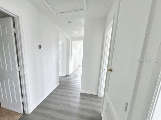 2024 BEARING LANE — photo 9 of 38