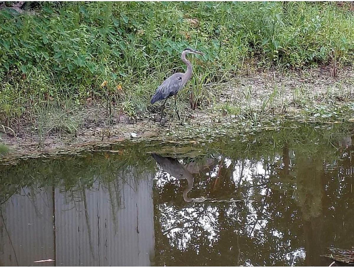10119 BASS CIRCLE — photo 22 of 25
