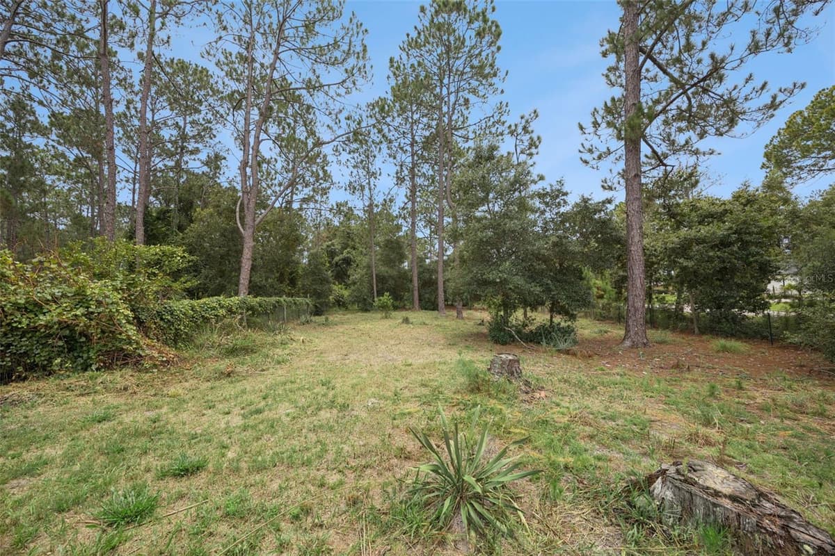 41220 ALDER WAY — photo 44 of 61