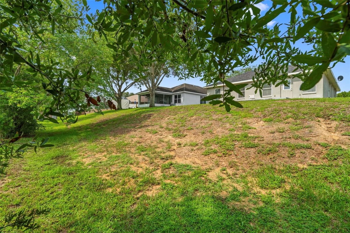 31407 SATINLEAF RUN — photo 10 of 57