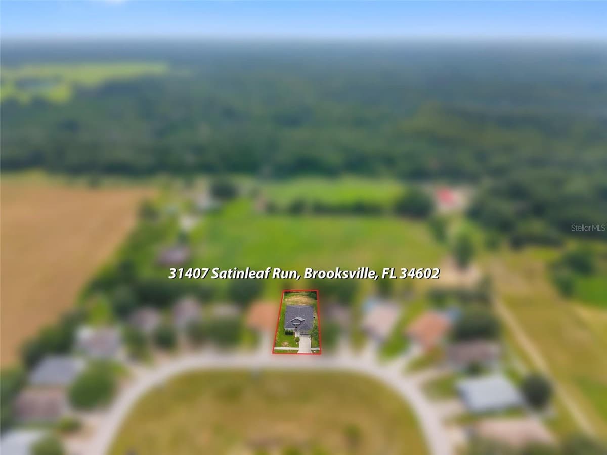 31407 SATINLEAF RUN — photo 50 of 57